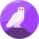 Lynne M. profile picture